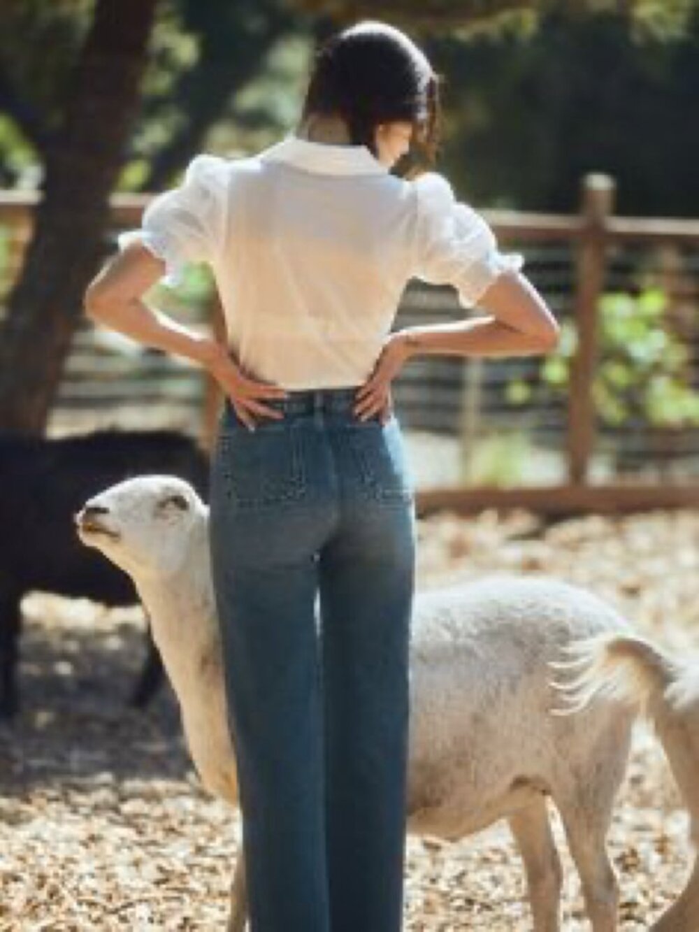 Reformation Alyssa Patch Pocket High Rise Wide Leg Jeans in Anguilla Wash - Picture 3 of 9